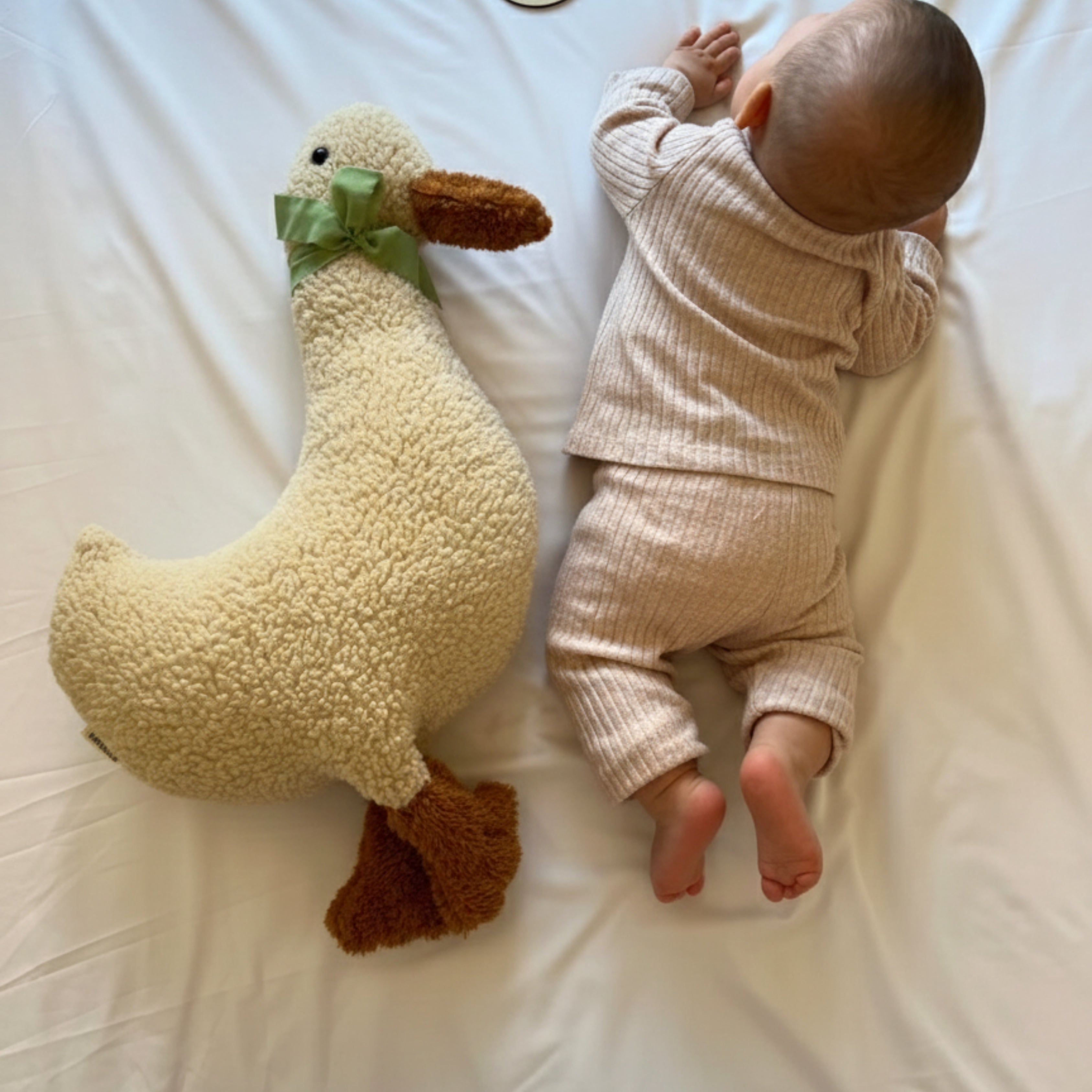 Lenny the Goose Sleep Companion